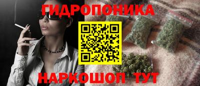 прущие крисы Партизанск