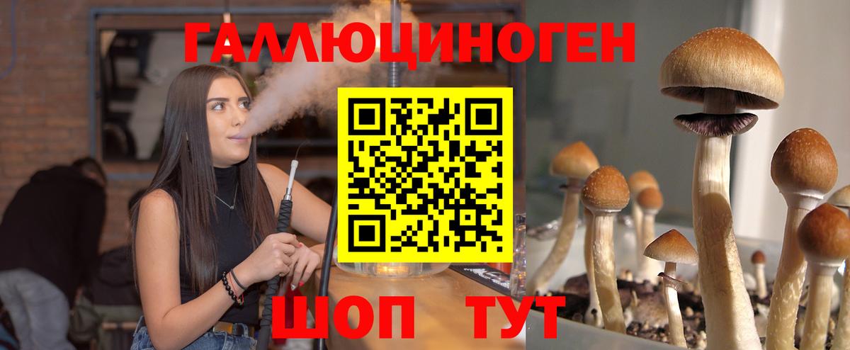 Галлюциногенные грибы Psilocybine cubensis Улан-Удэ